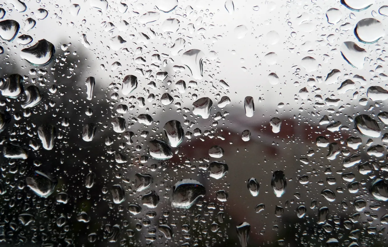 Photo wallpaper glass, drops, rain