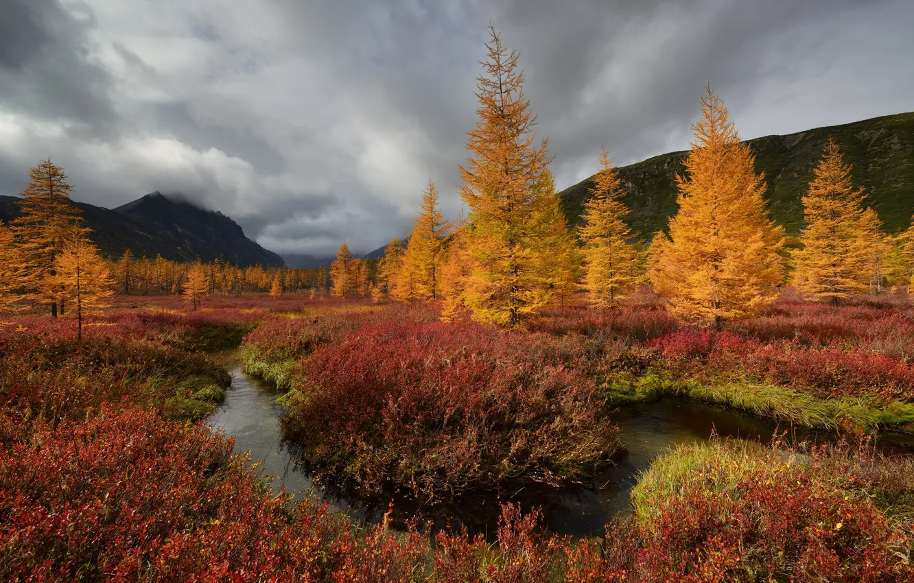 Photo wallpaper autumn, clouds, trees, landscape, mountains, nature, stream, vegetation