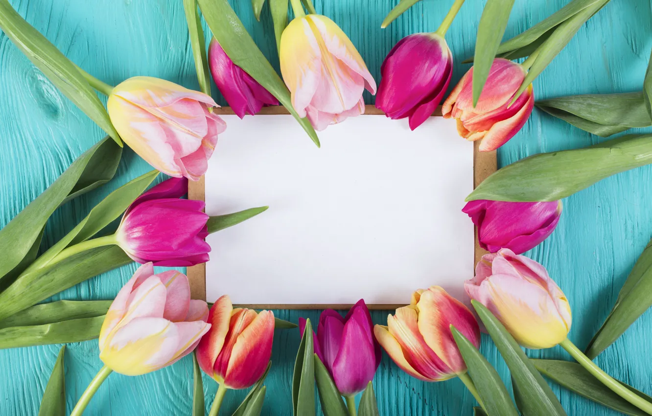 Photo wallpaper flowers, colorful, tulips, pink, pink, flowers, tulips, spring