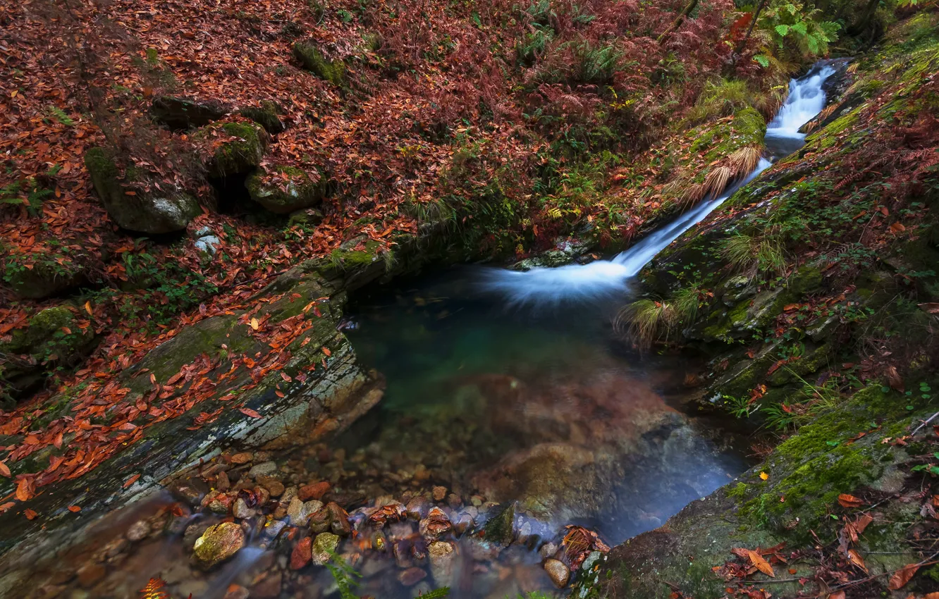 Photo wallpaper autumn, stream, stones, shore, for, foliage, waterfall, slope