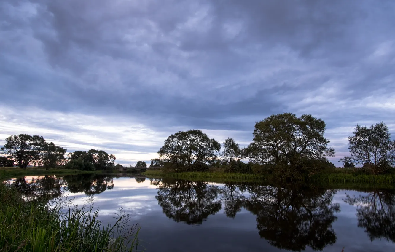 Photo wallpaper the sky, trees, clouds, reflection, the evening, Sweden, sky, Sweden