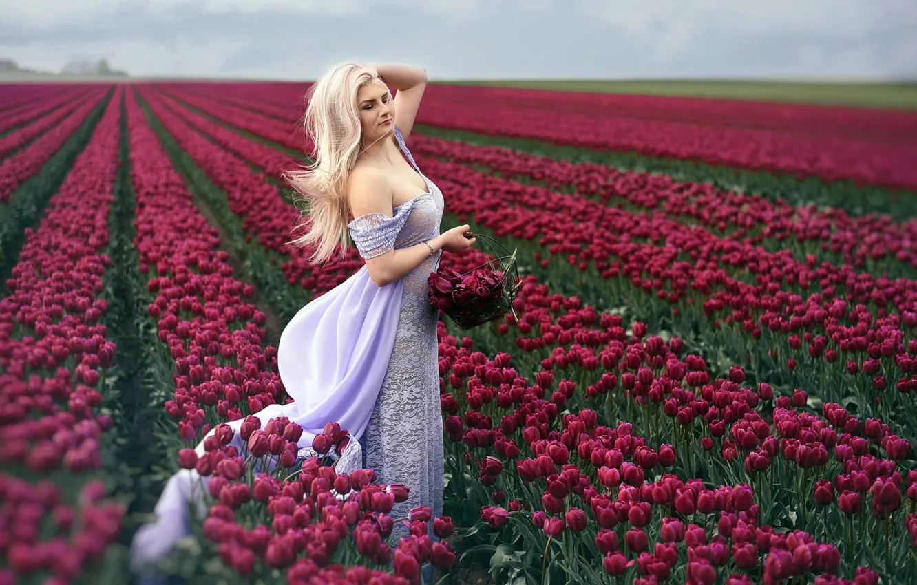 Photo wallpaper field, girl, tulips