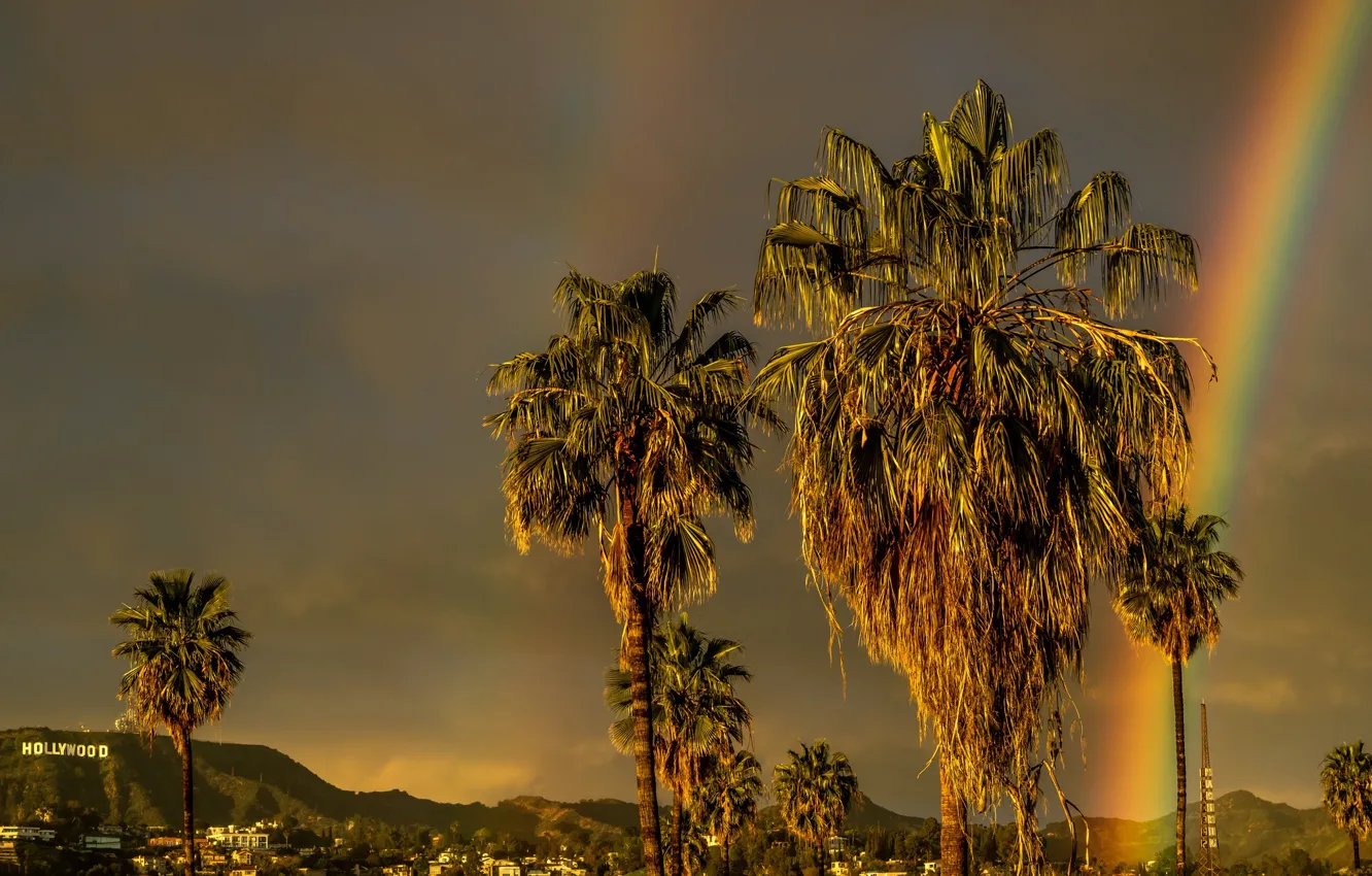 Photo wallpaper palm trees, rainbow, Hollywood, USA