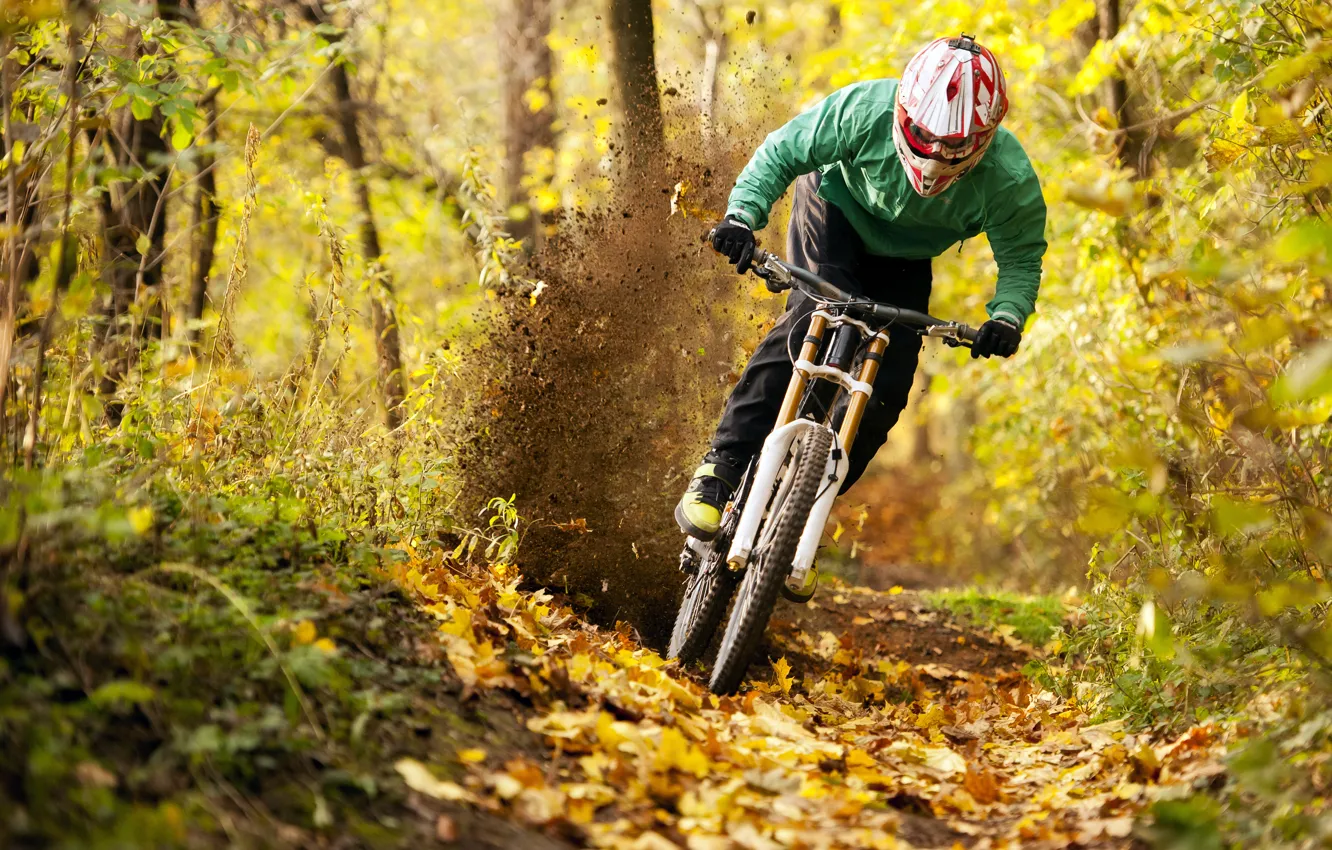 Photo wallpaper Autumn, Forest, Sport, Helmet, Bike