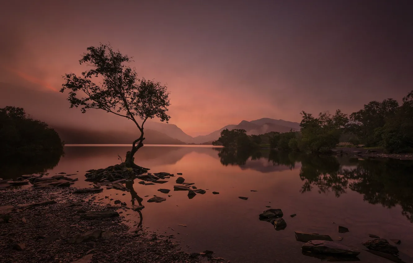 Photo wallpaper mountains, night, lake