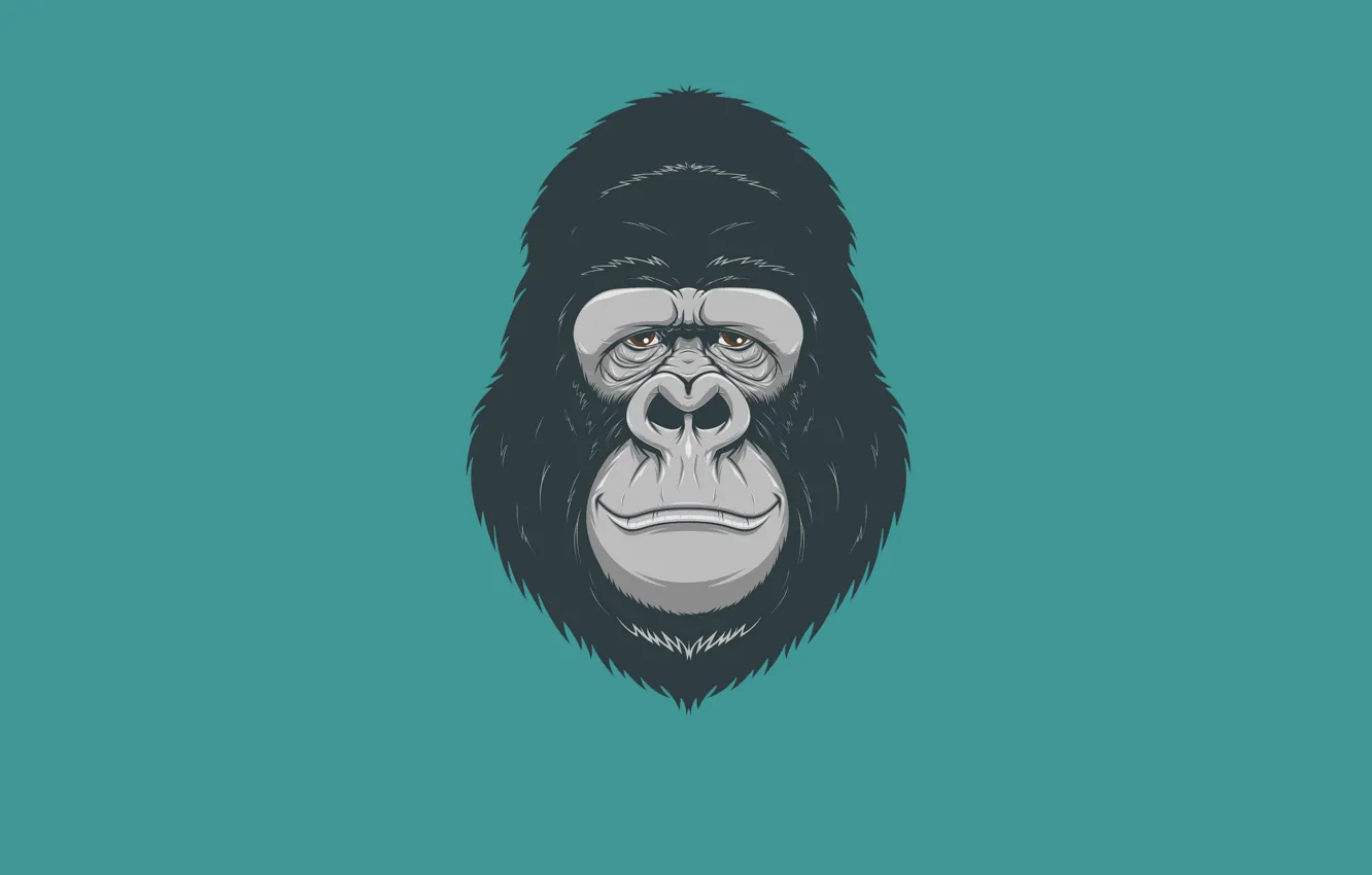 Photo wallpaper minimalism, head, monkey, gorilla, monkey, gorilla