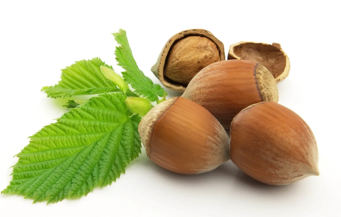 Photo wallpaper leaves, macro, nuts, hazelnuts