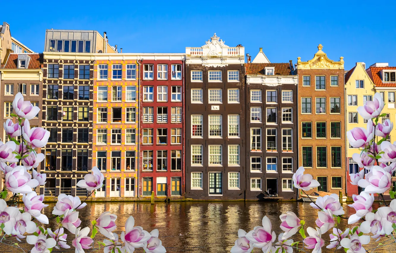 Photo wallpaper river, spring, Amsterdam, flowering, blossom, Amsterdam, flowers, old