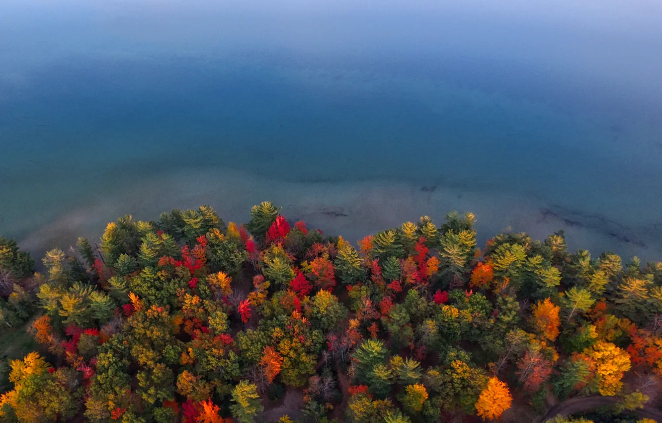 Photo wallpaper autumn, forest, pond, the