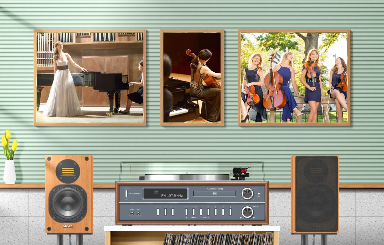 Photo wallpaper Music, dress, plan, cello, tulip, audio, record player, Speaker