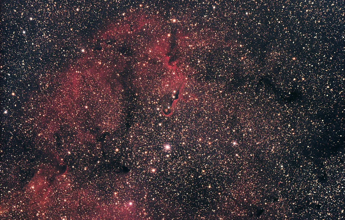 Photo wallpaper space, stars, nebula, Elephant's Trunk, IC 1396