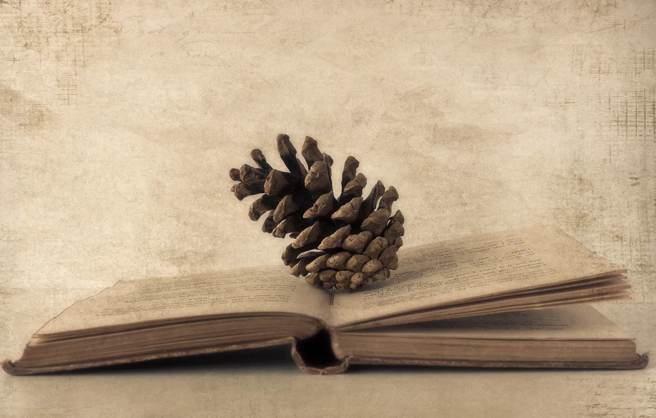 Photo wallpaper style, background, book, bumps