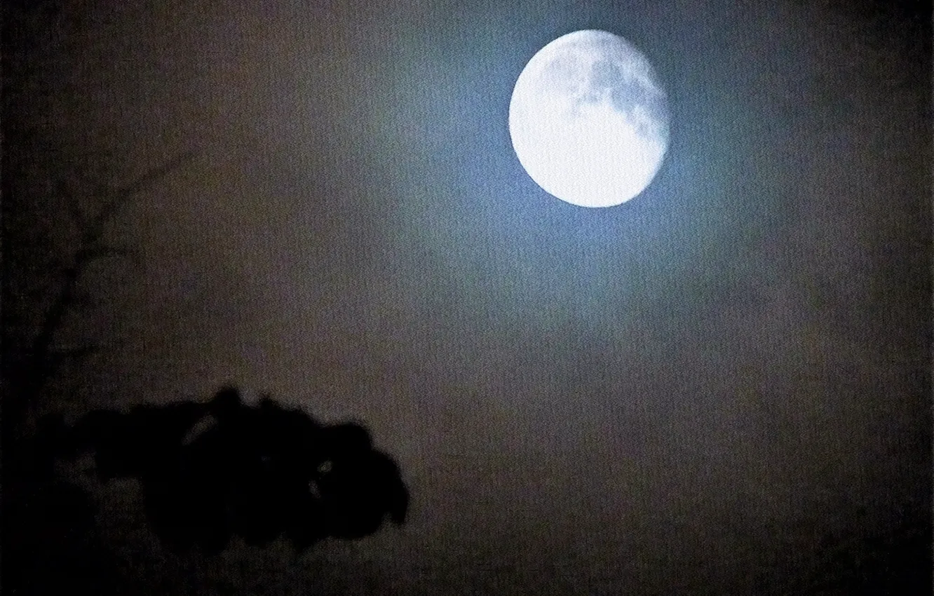 Photo wallpaper night, the moon, moonlit night