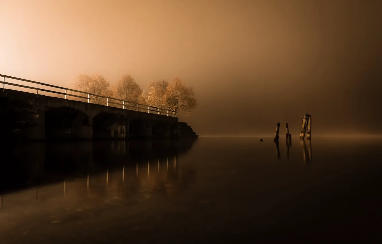 Photo wallpaper night, bridge, lake