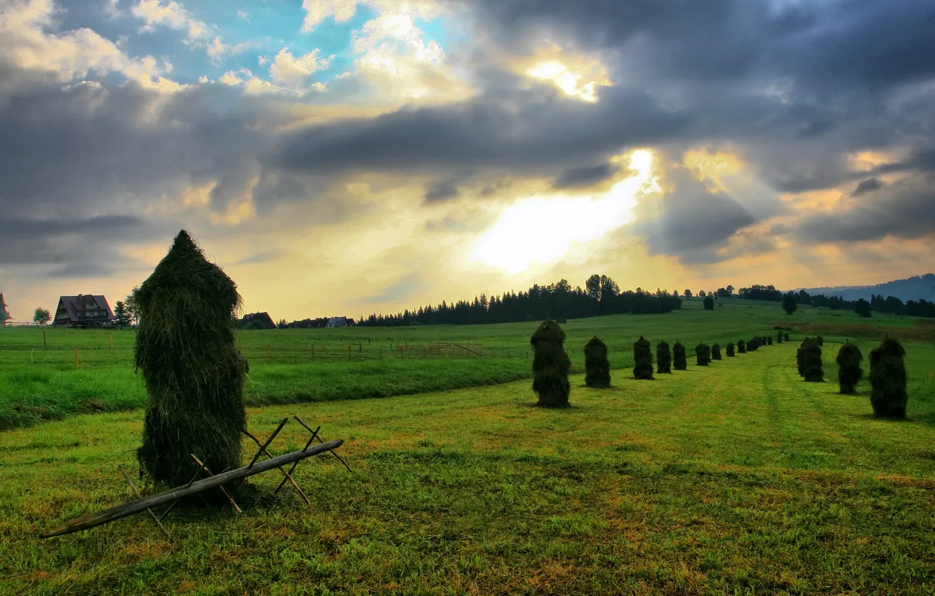 Photo wallpaper field, the sky, clouds, the Stozhkov