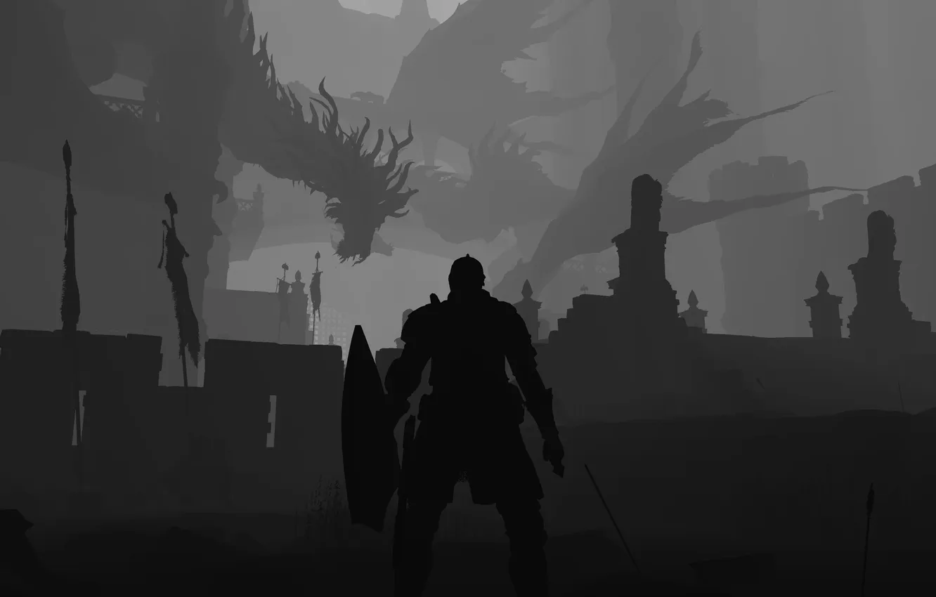 Photo wallpaper dragon, minimalism, Skyrim, Skyrim