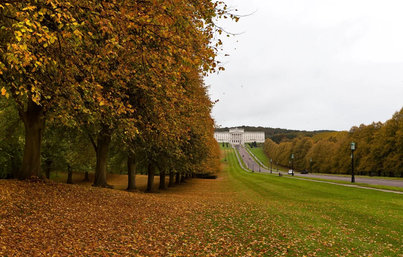 Photo wallpaper city, wallpaper, building