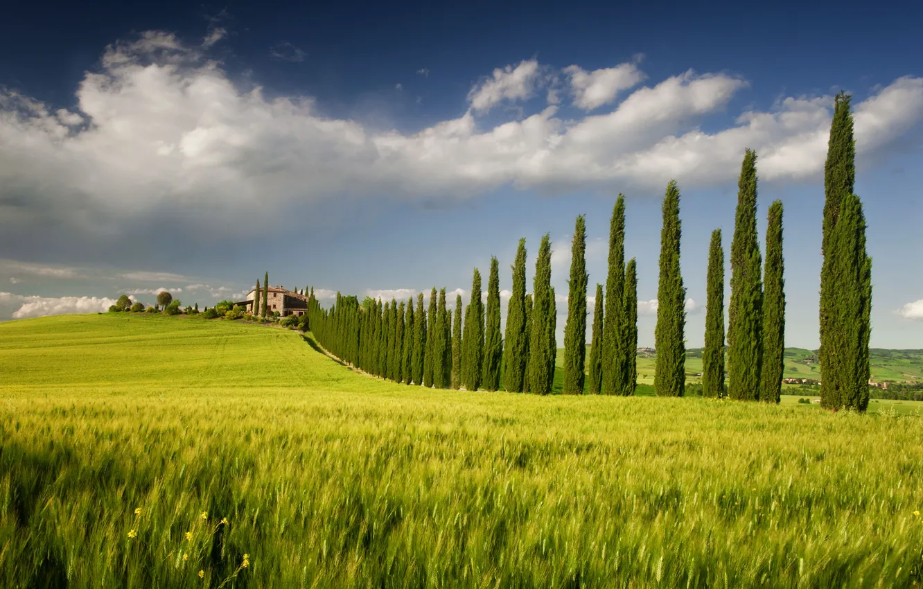 Photo wallpaper field, the sky, trees, home, spring, Italy, Campagna