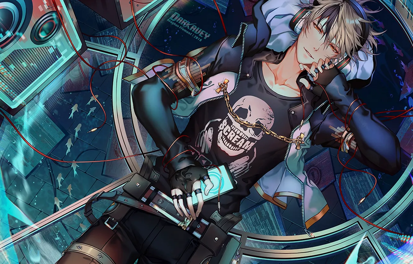 Photo wallpaper fish, wire, headphones, guy, Amnesia, Amnesia