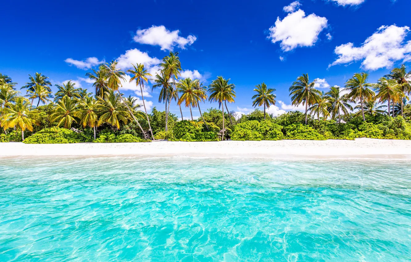Photo wallpaper beach, palm trees, the ocean, Seychelles, The Indian ocean