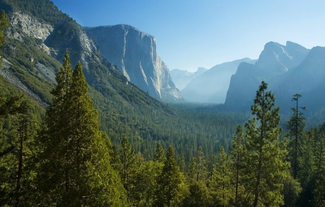 Photo wallpaper forest, trees, mountains, rocks, valley, CA, panorama, haze