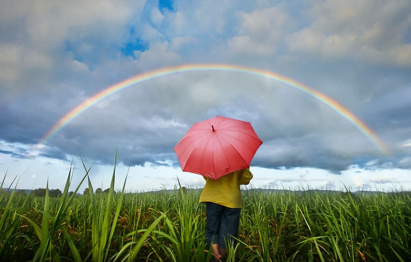 Photo wallpaper field, the sky, grass, clouds, rainbow, umbrella