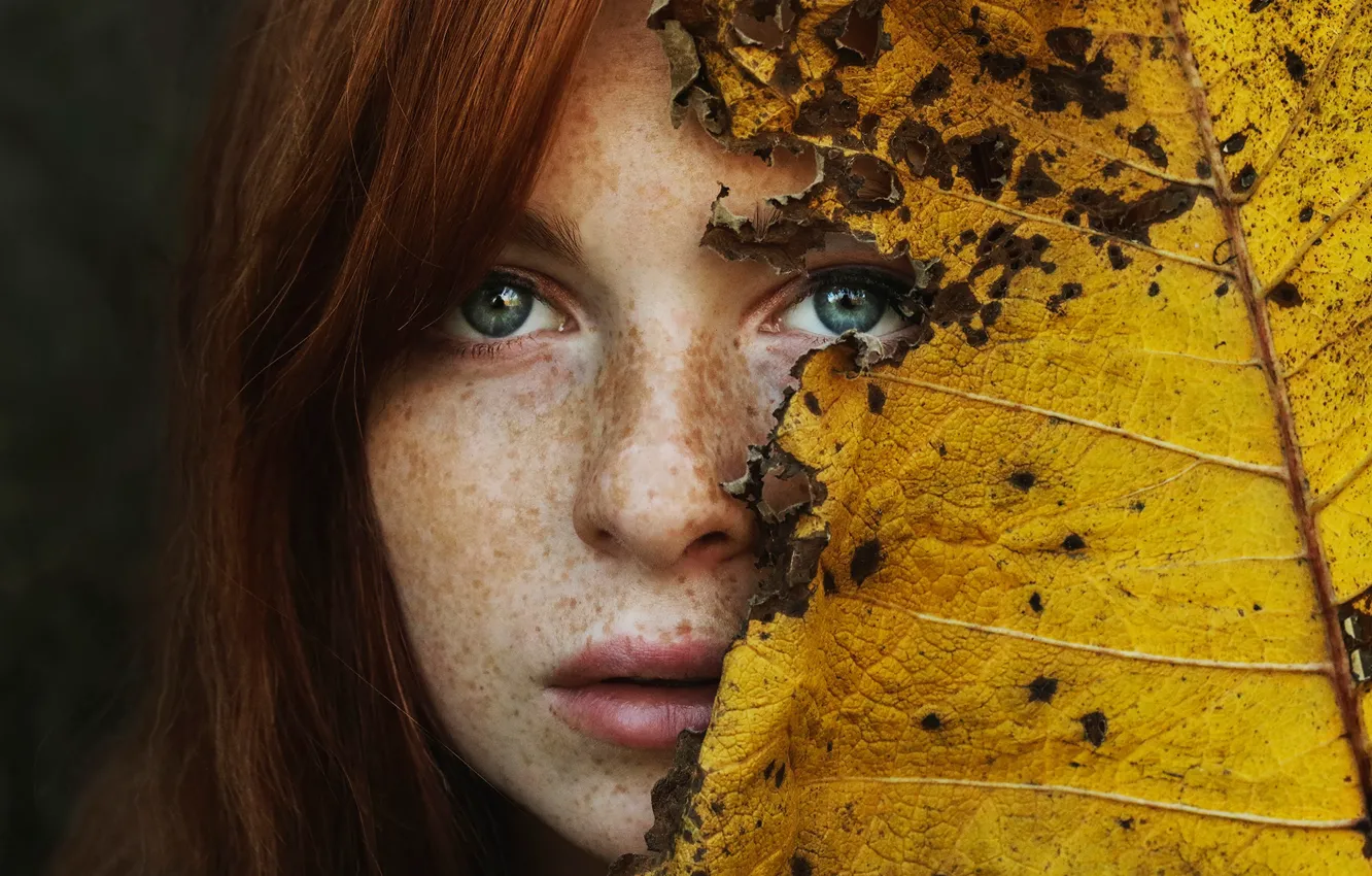 Photo wallpaper autumn, sheet, freckles, sponge, Autumn leaf, Lily Trouble