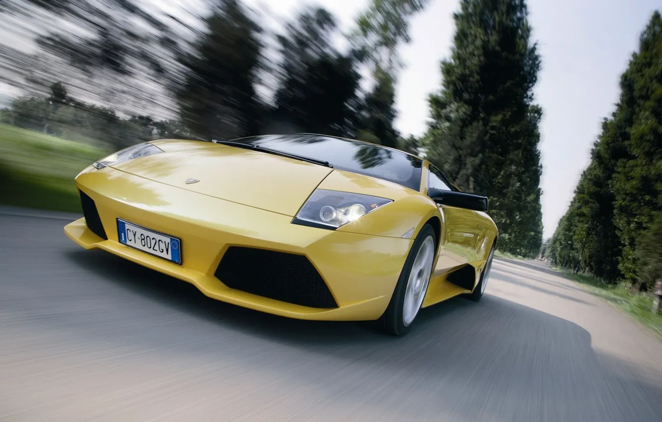 Photo wallpaper 2006, Lamborghini, lp640, Murcilago