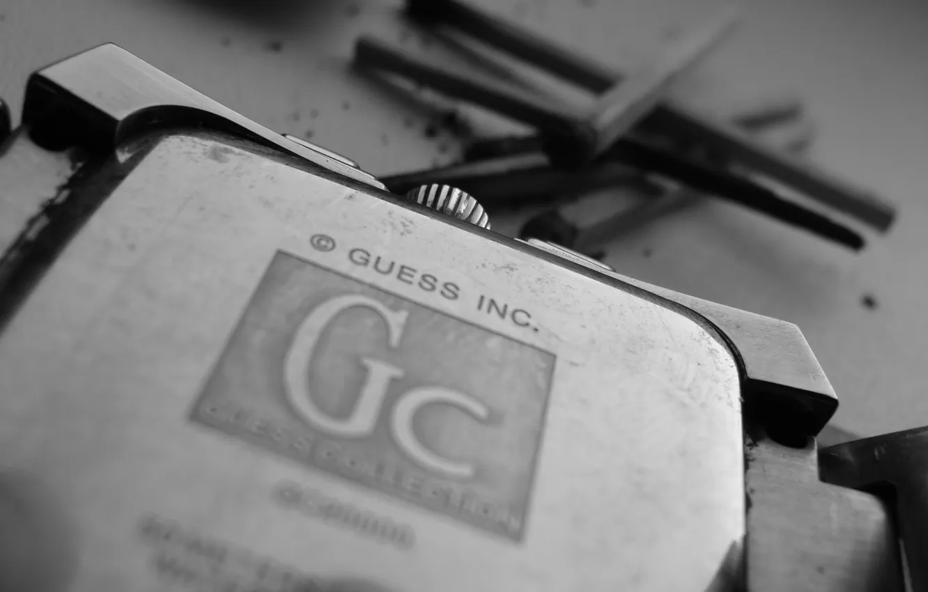 Photo wallpaper macro, style, black and white, Guess