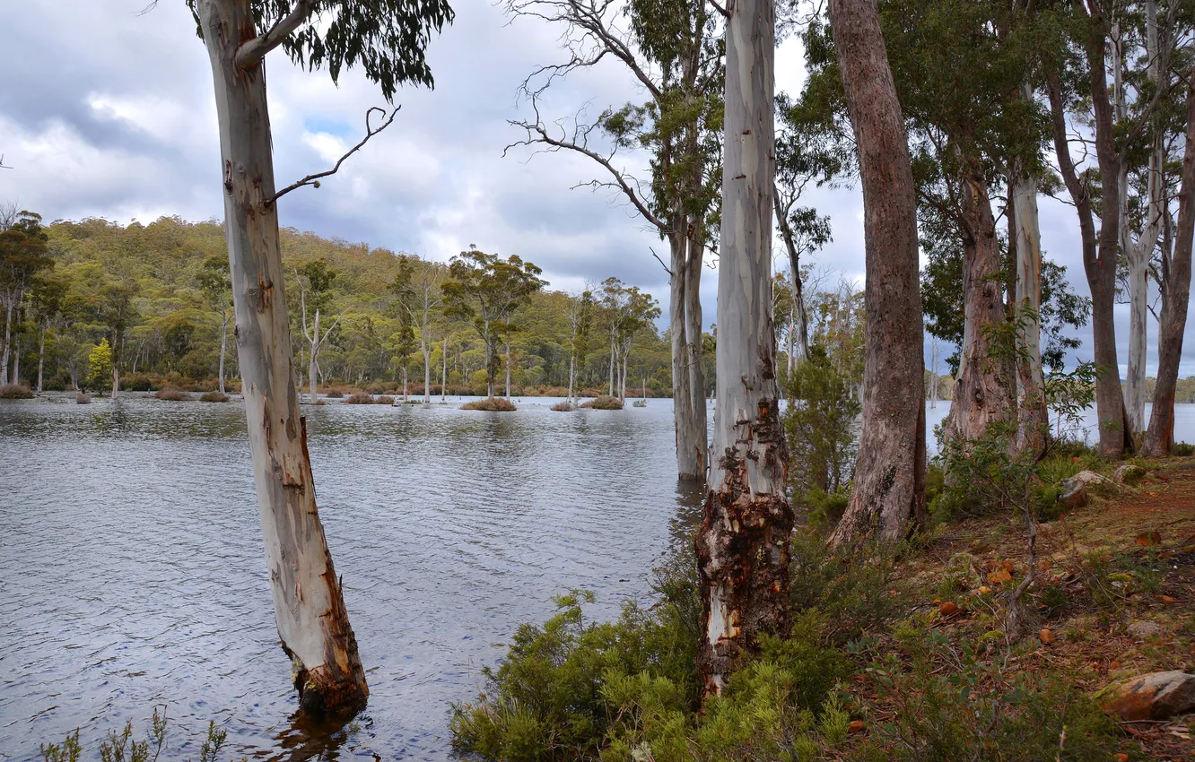 Photo wallpaper the sky, clouds, trees, mountains, lake, island