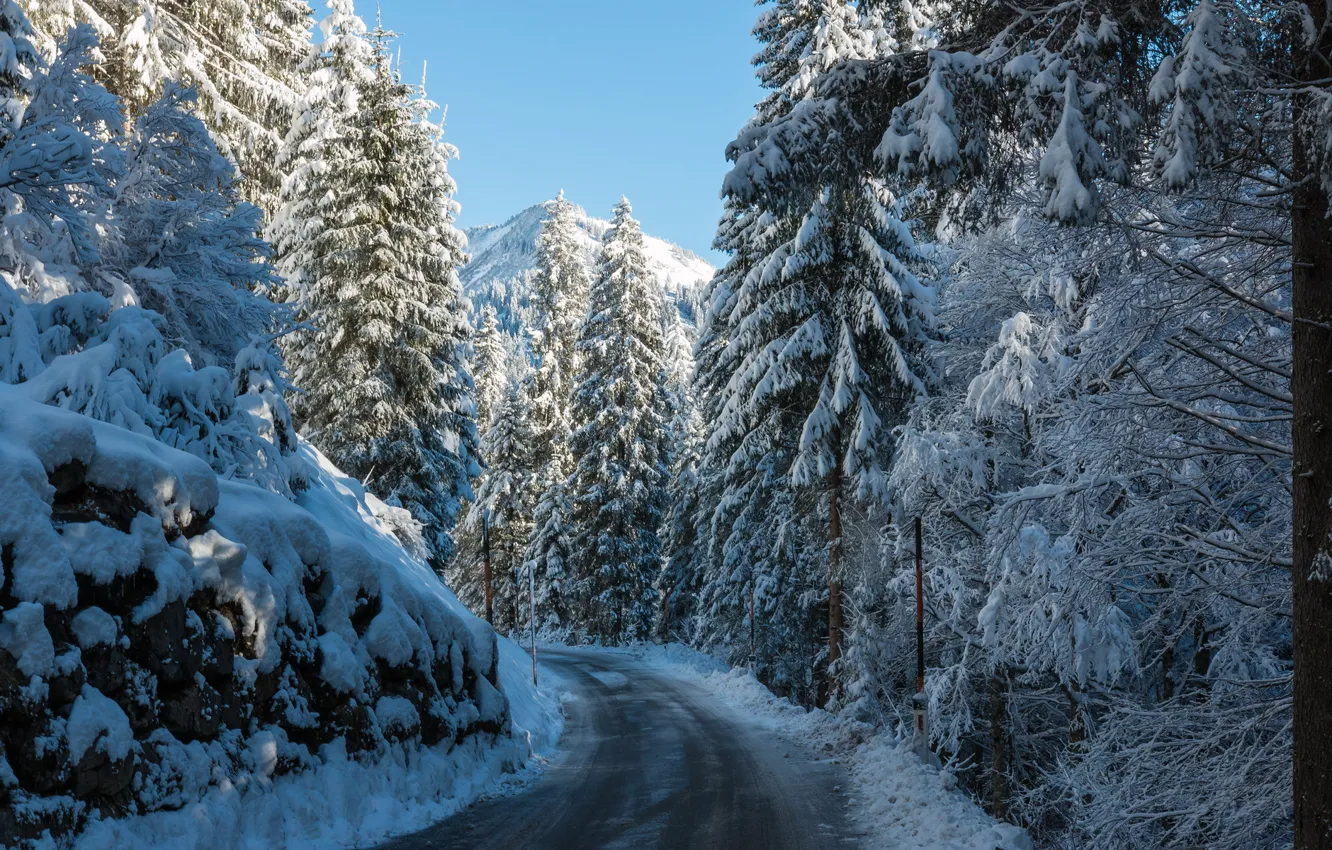 Photo wallpaper winter, road, forest, mountains