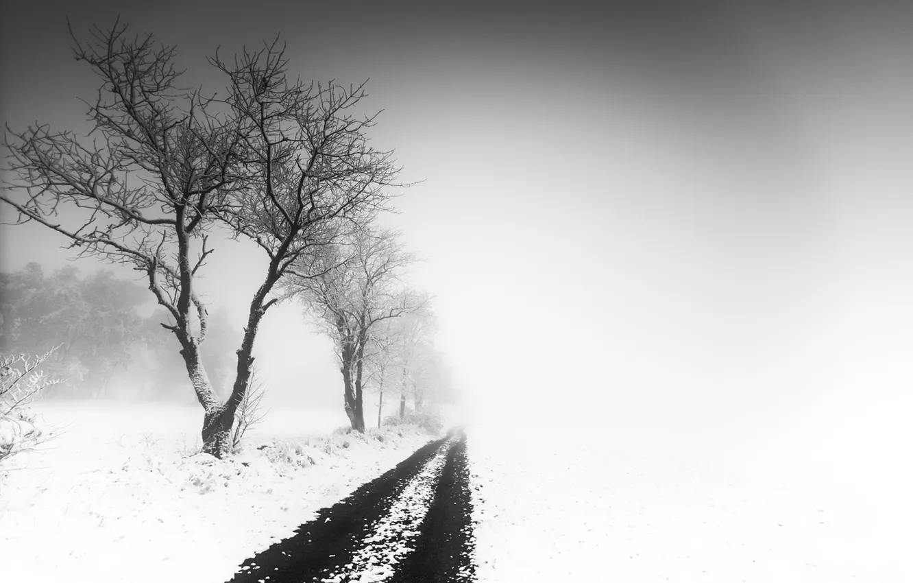 Photo wallpaper road, snow, fog