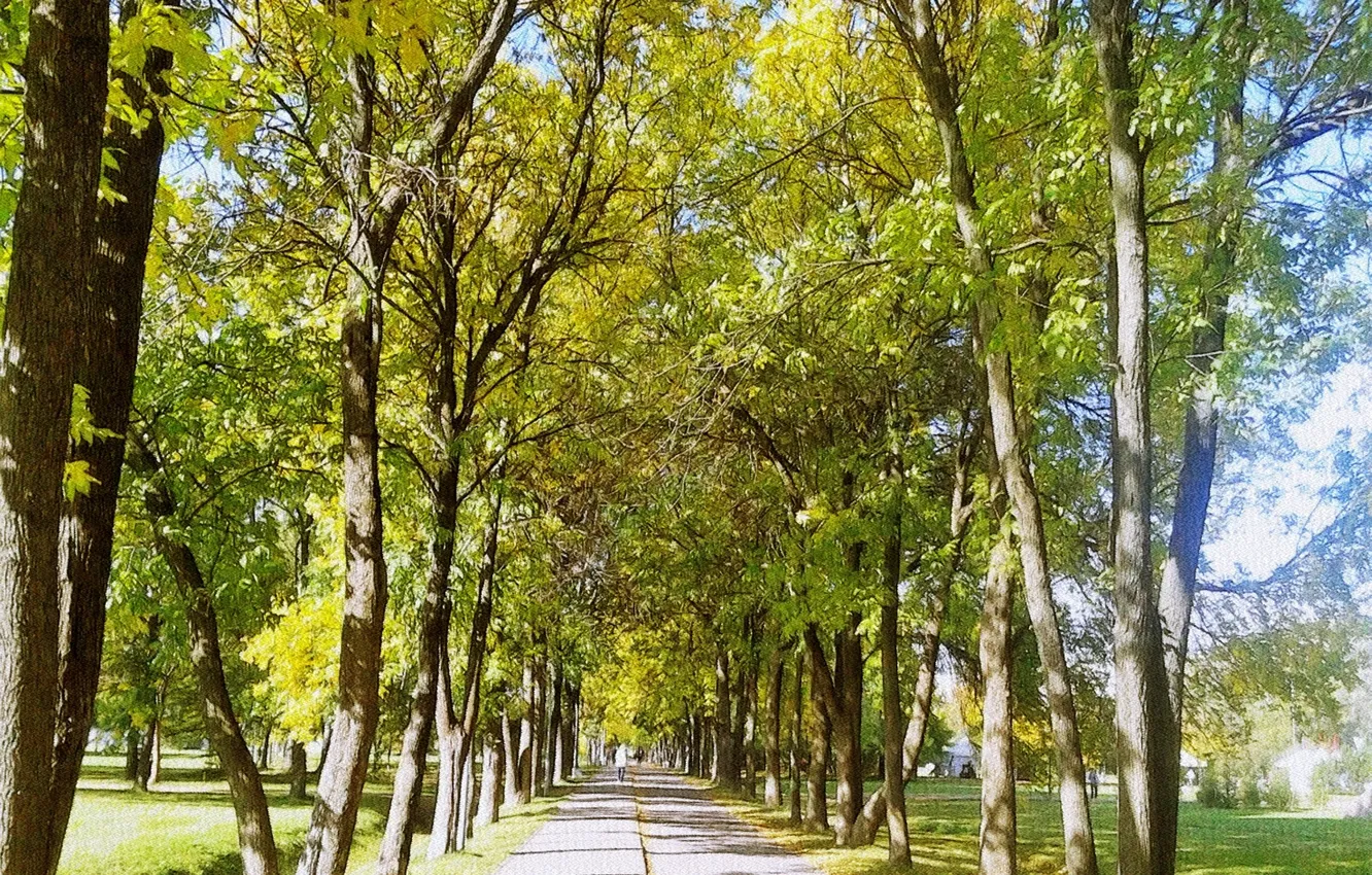 Photo wallpaper autumn, landscape, alley, September 2023