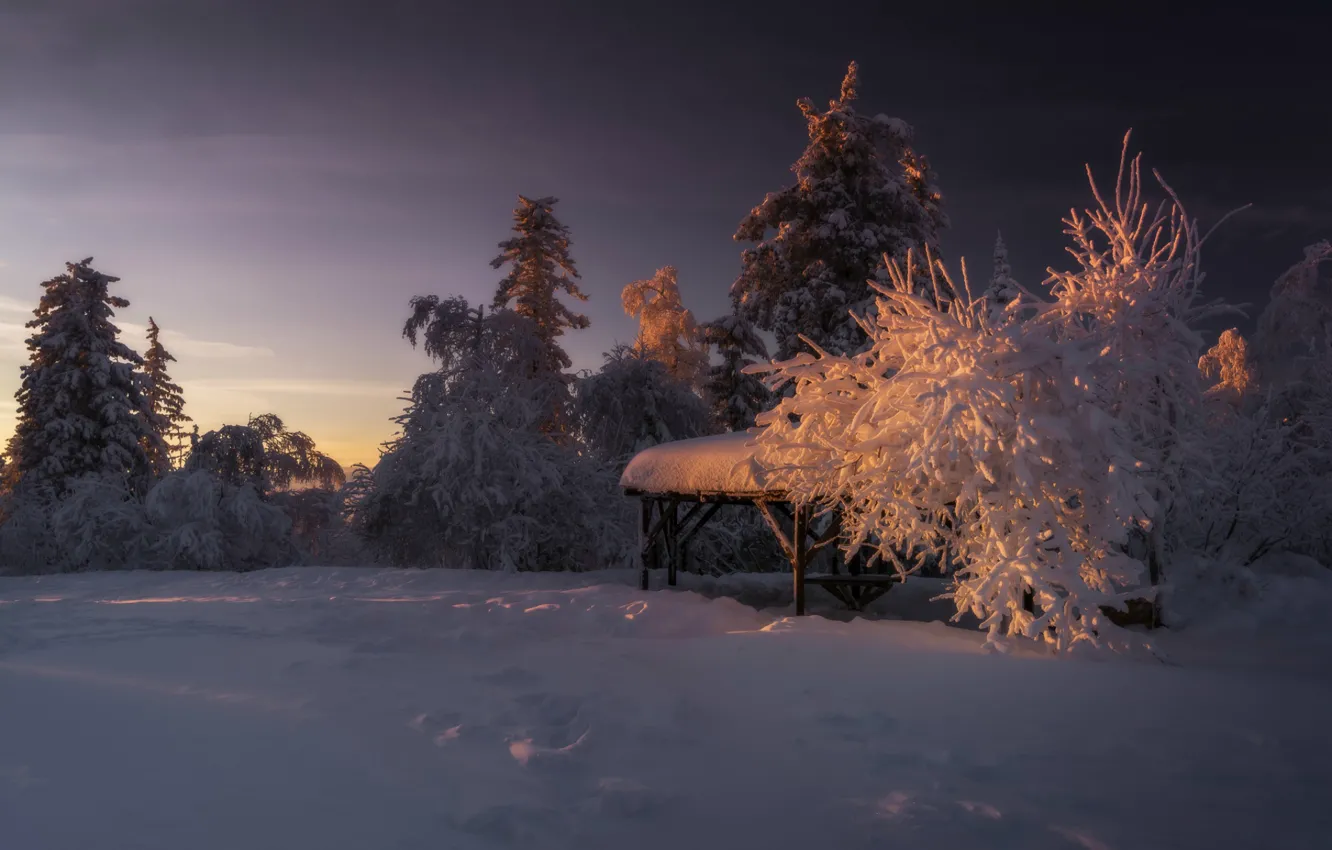 Photo wallpaper winter, snow, trees, gazebo