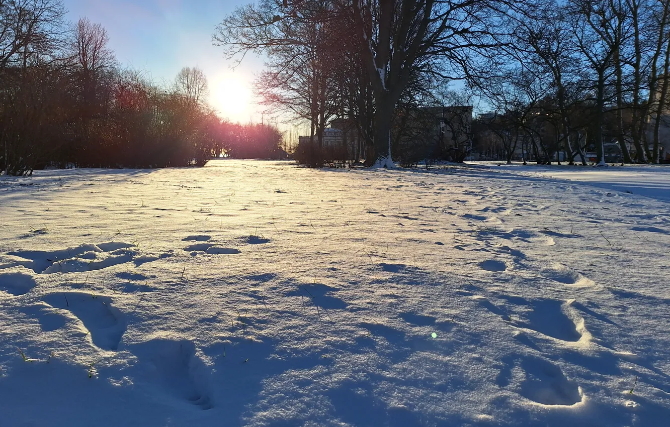 Photo wallpaper Snow, Zima, ZaSpa, footprints