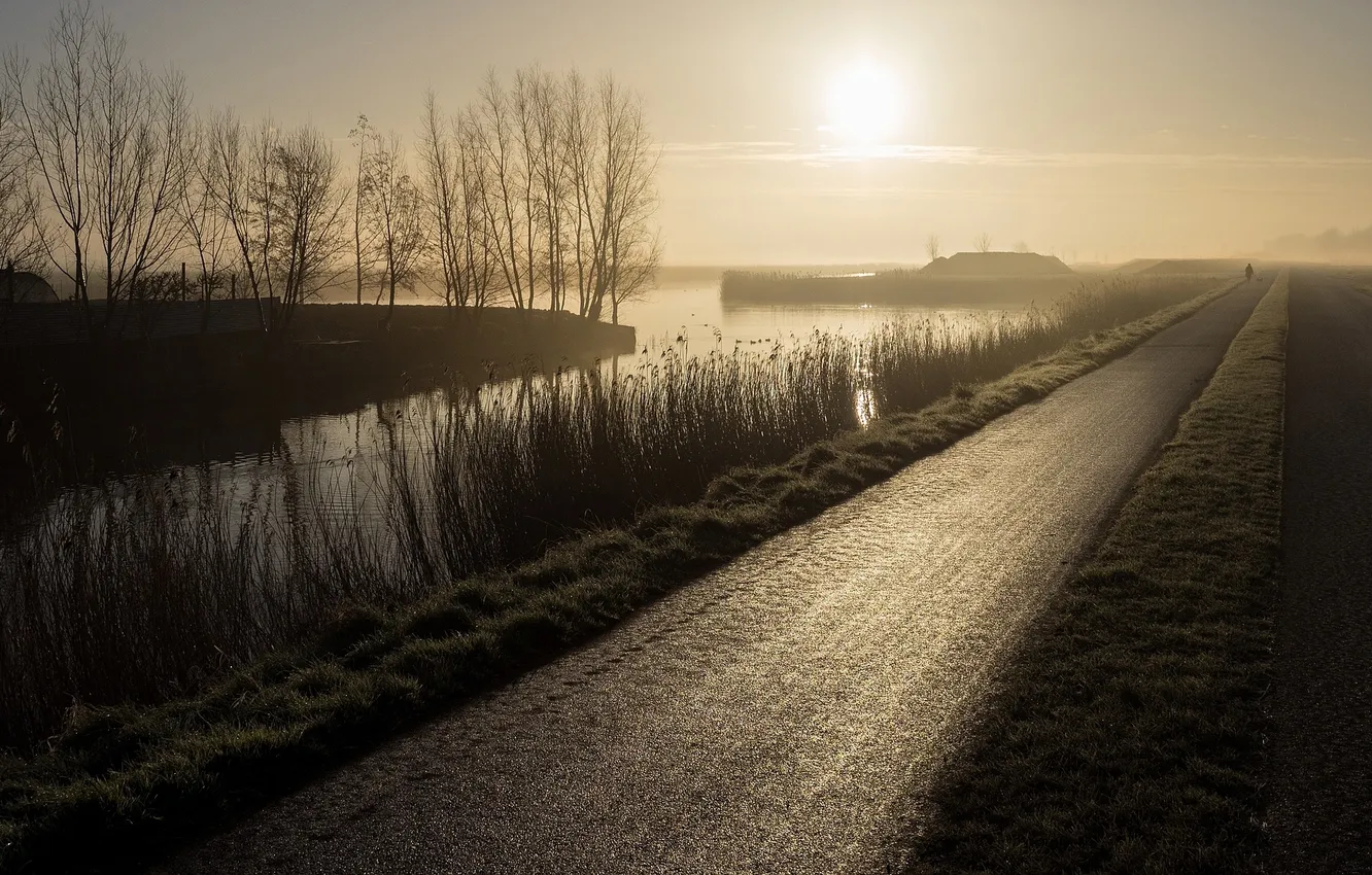 Photo wallpaper road, fog, morning, channel