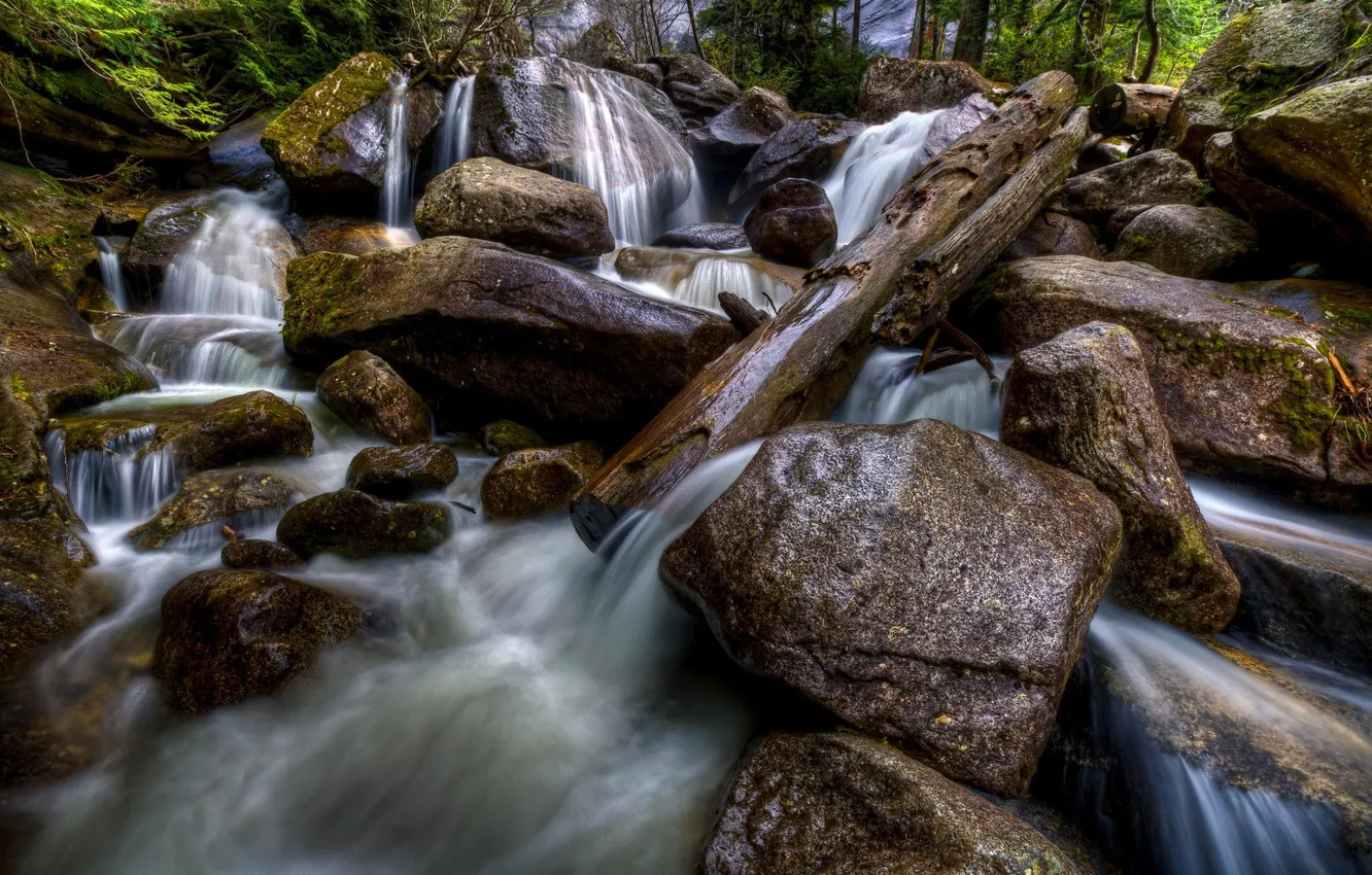 Photo wallpaper forest, water, nature, river, stones