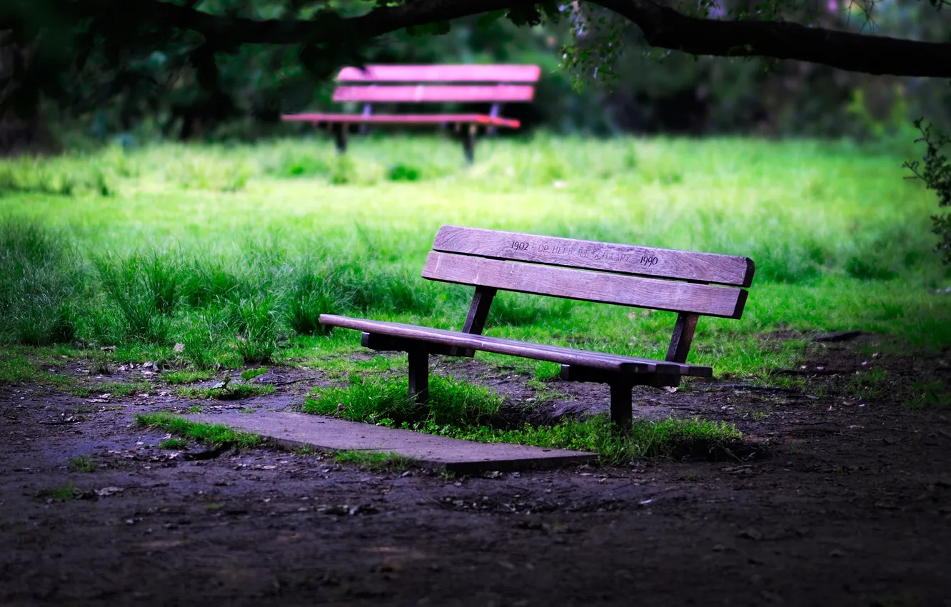 Photo wallpaper greens, grass, bench, mood, shop, shop, bench
