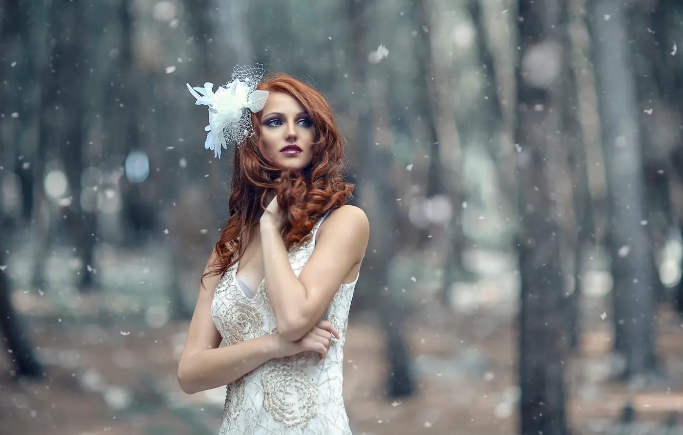 Photo wallpaper girl, snow, Alessandro Di Cicco, Frosty Winter
