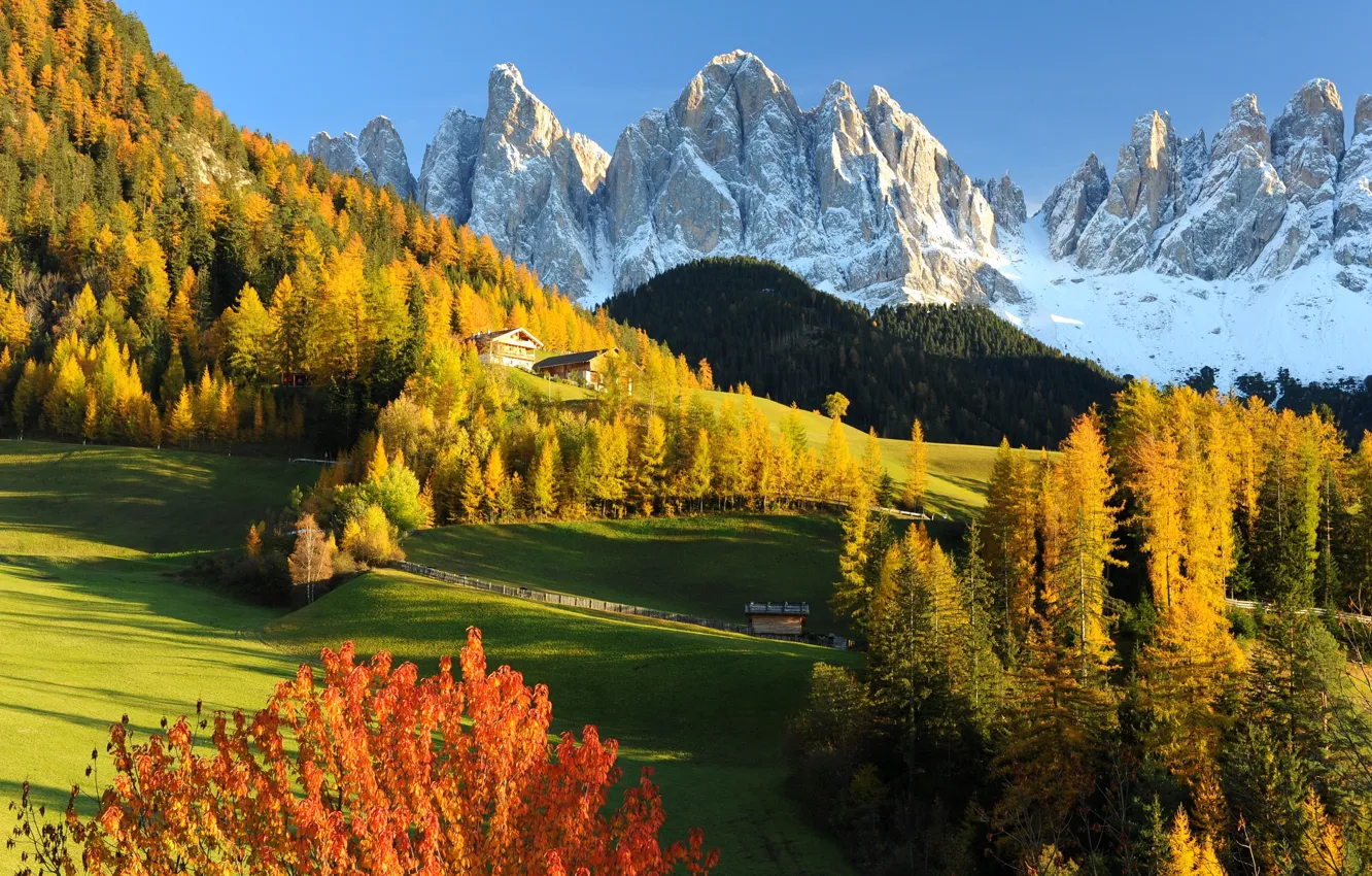 Photo wallpaper Nature, Mountains, Autumn, Forest, Alps, Meadow, Italy, Landscape
