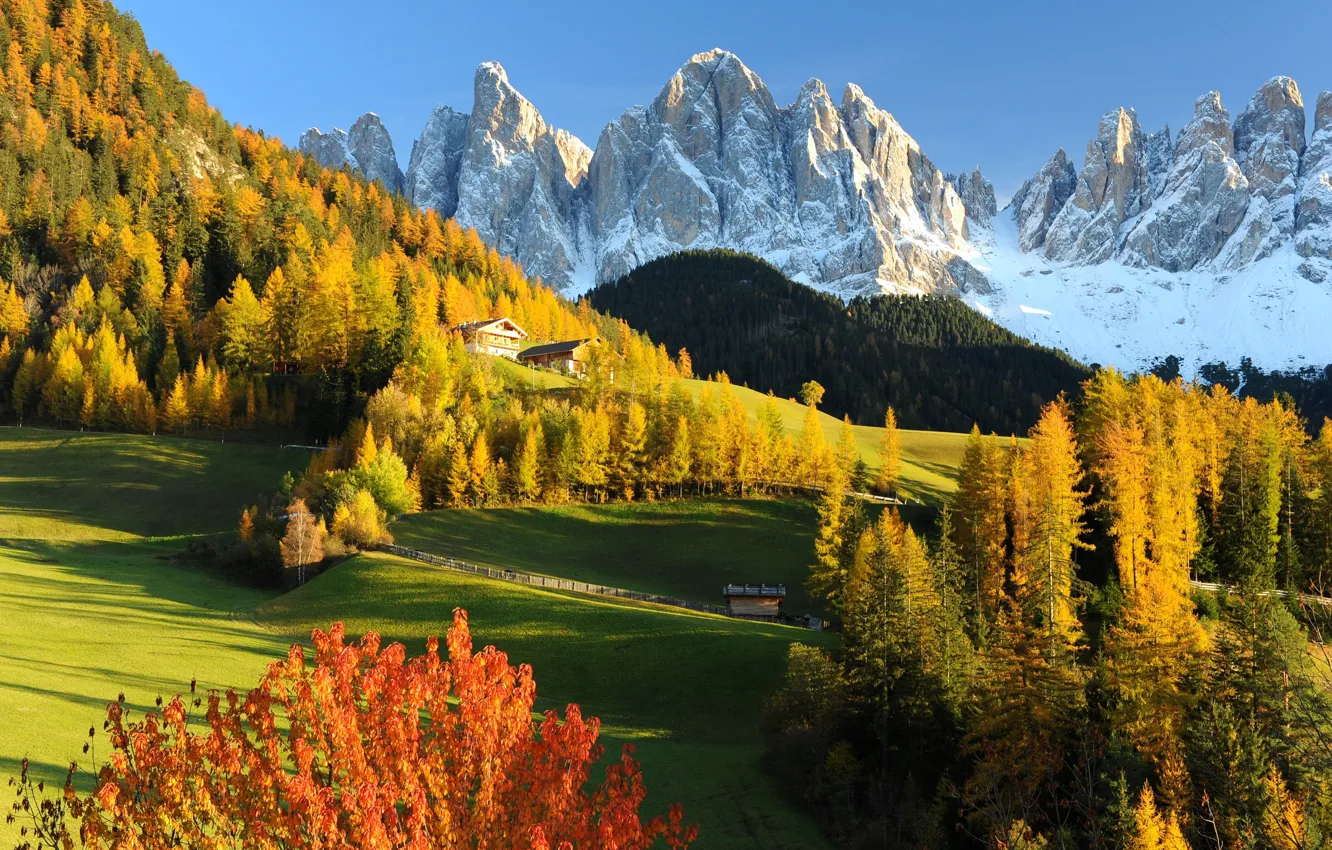 Photo wallpaper autumn, forest, landscape, mountains, nature, Alps, meadow, Italy