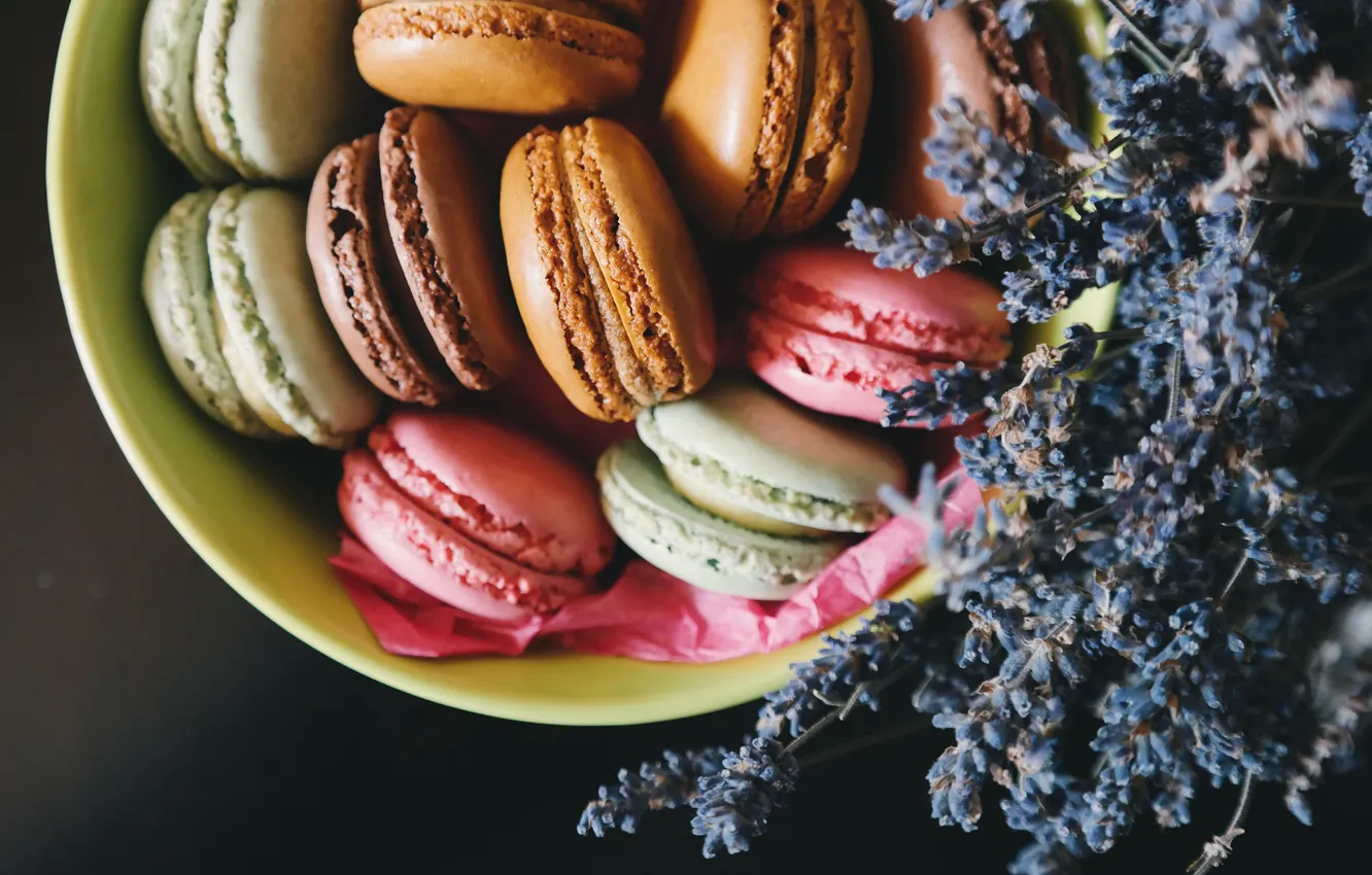Photo wallpaper cookies, lavender, macaron, macaron