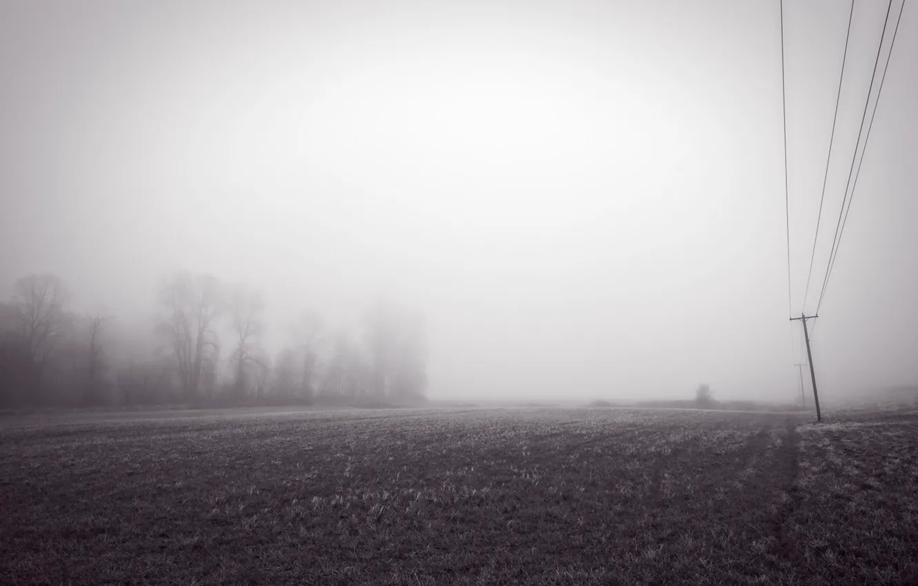 Photo wallpaper field, fog, morning