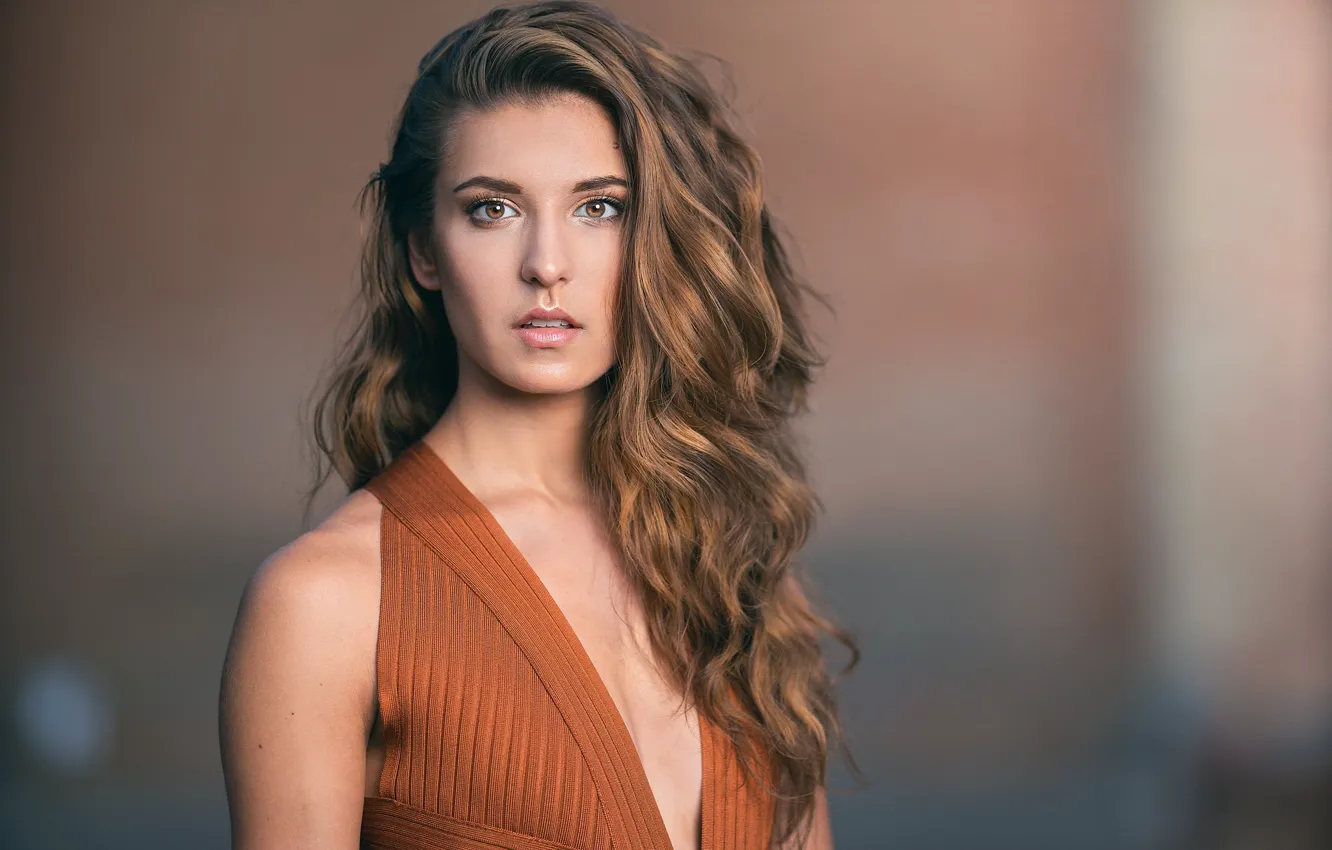 Photo wallpaper look, model, hair, dress, brown hair, neckline