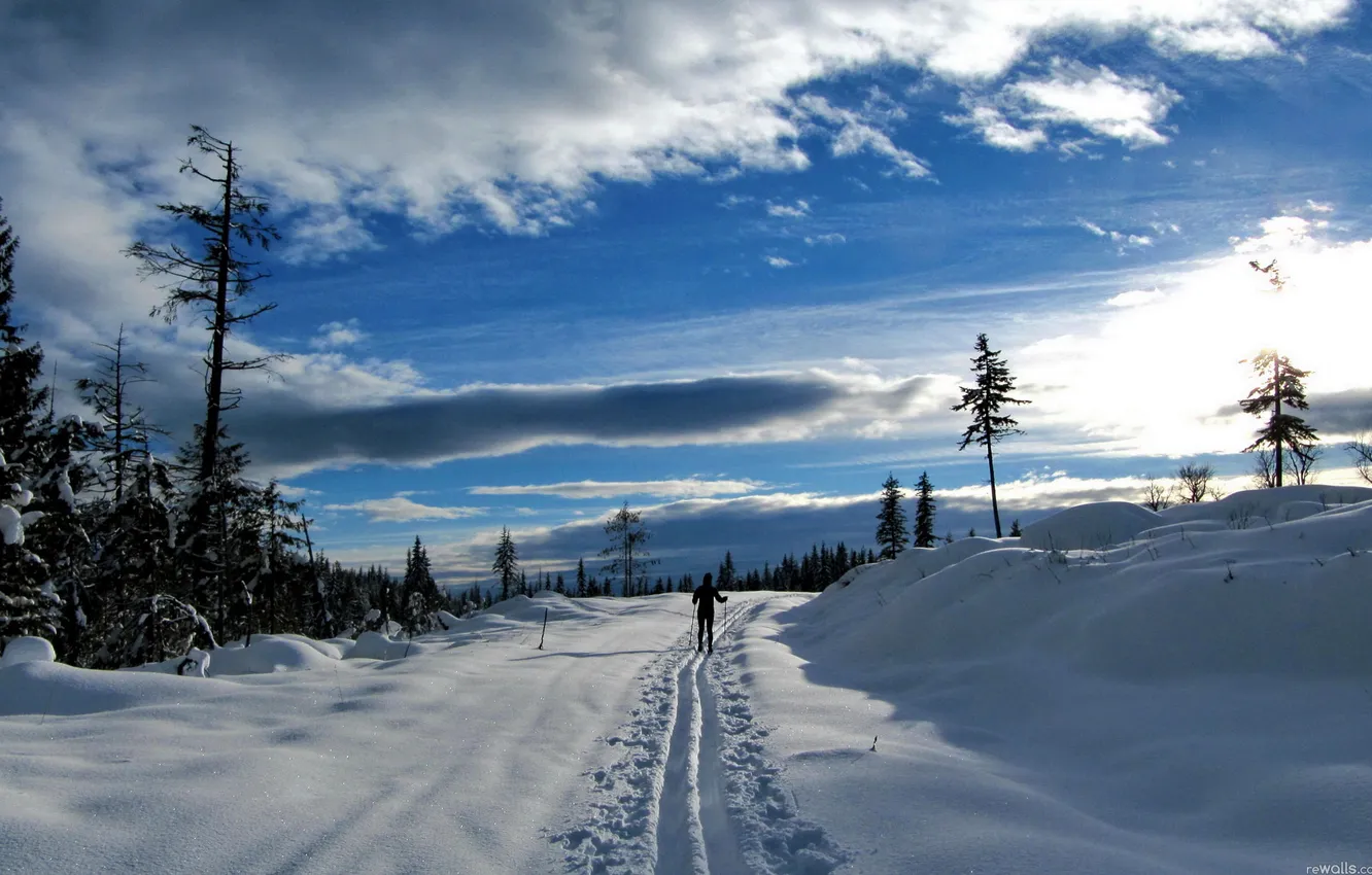 Photo wallpaper winter, road, the sky, clouds, snow, trees, sunset, trails
