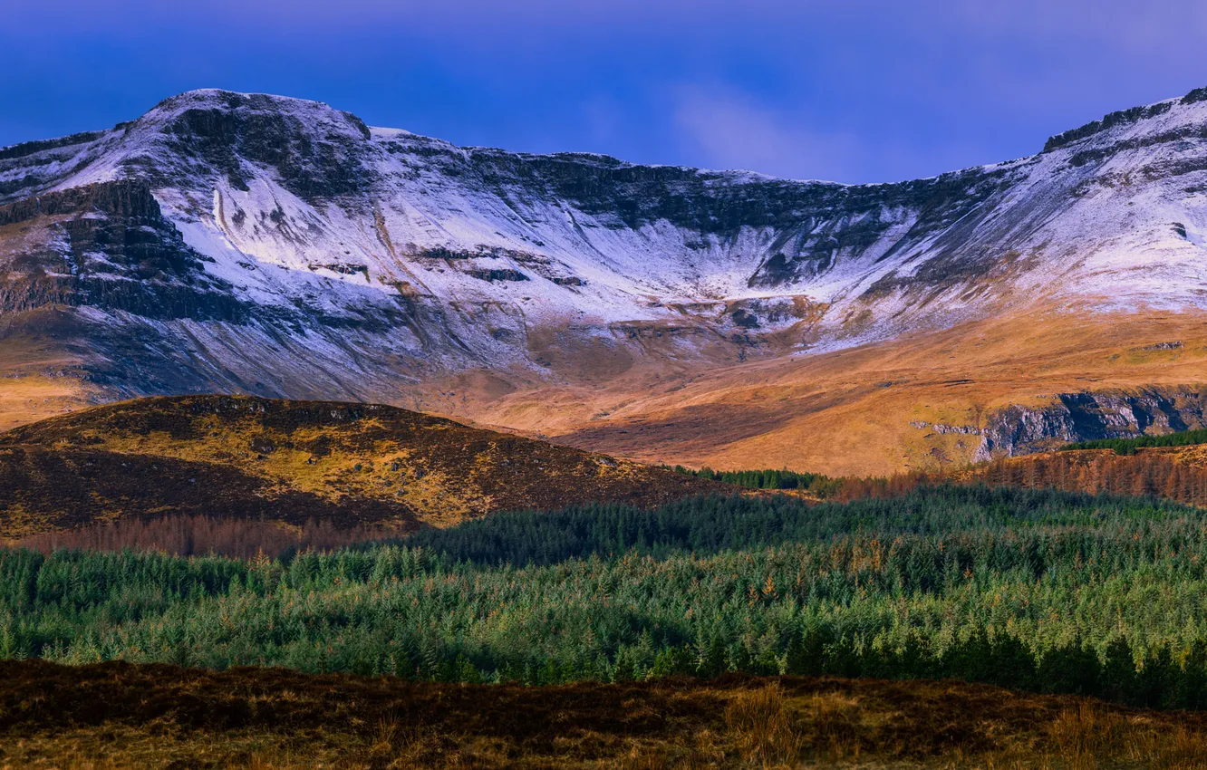 Photo wallpaper forest, mountains, nature, panorama