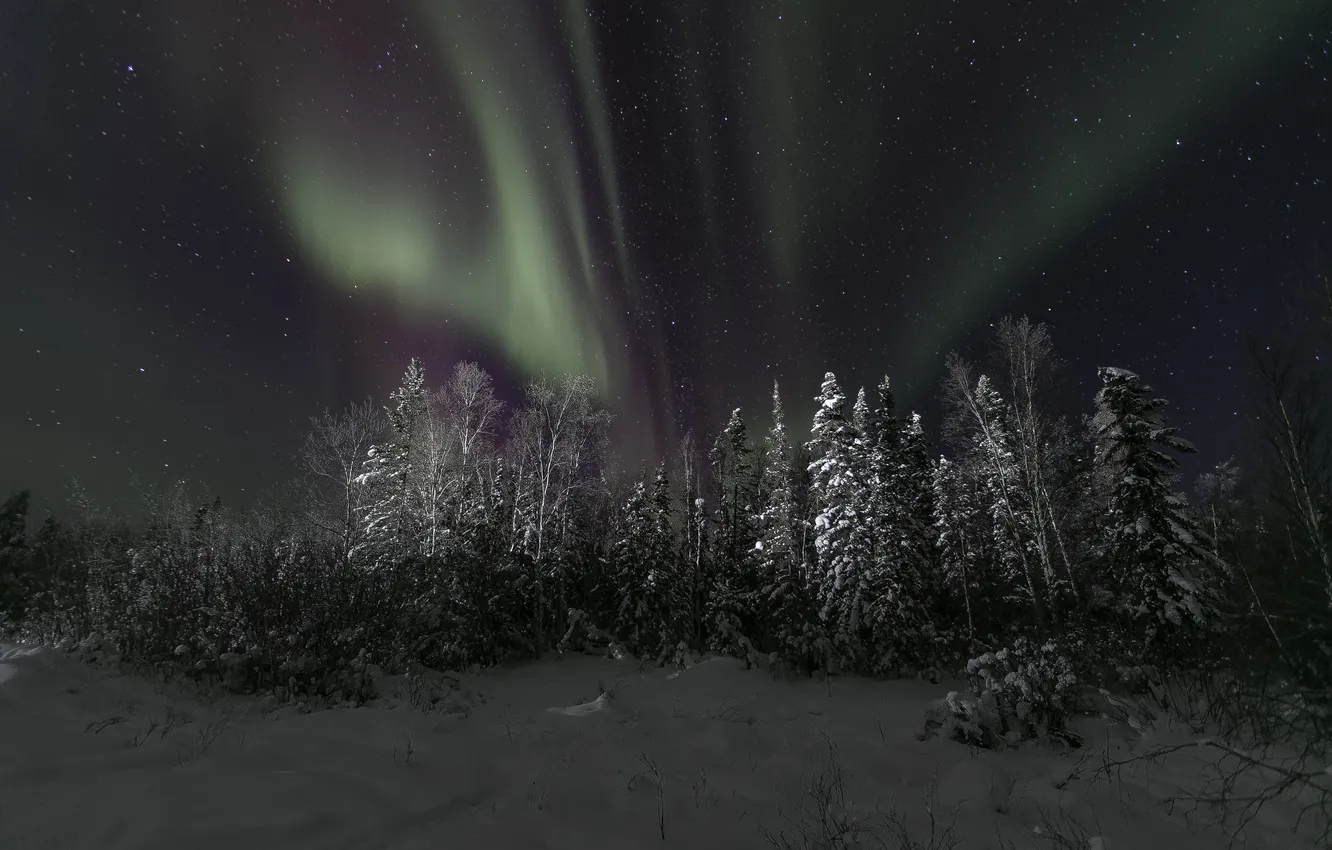 Photo wallpaper winter, the sky, stars, snow, trees, night, Northern lights, Northern Canada
