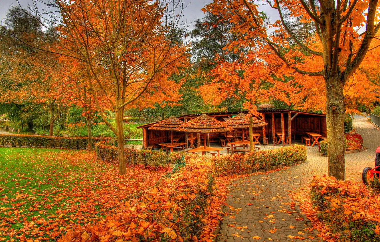 Photo wallpaper autumn, leaves, trees, Park, Germany, gazebo, Saalburgstr