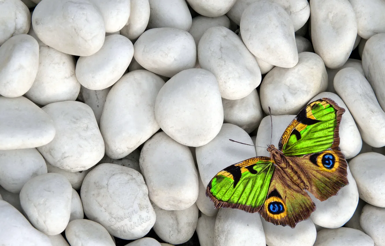 Photo wallpaper stones, butterfly, colorful, butterfly, design by Marika, white stones