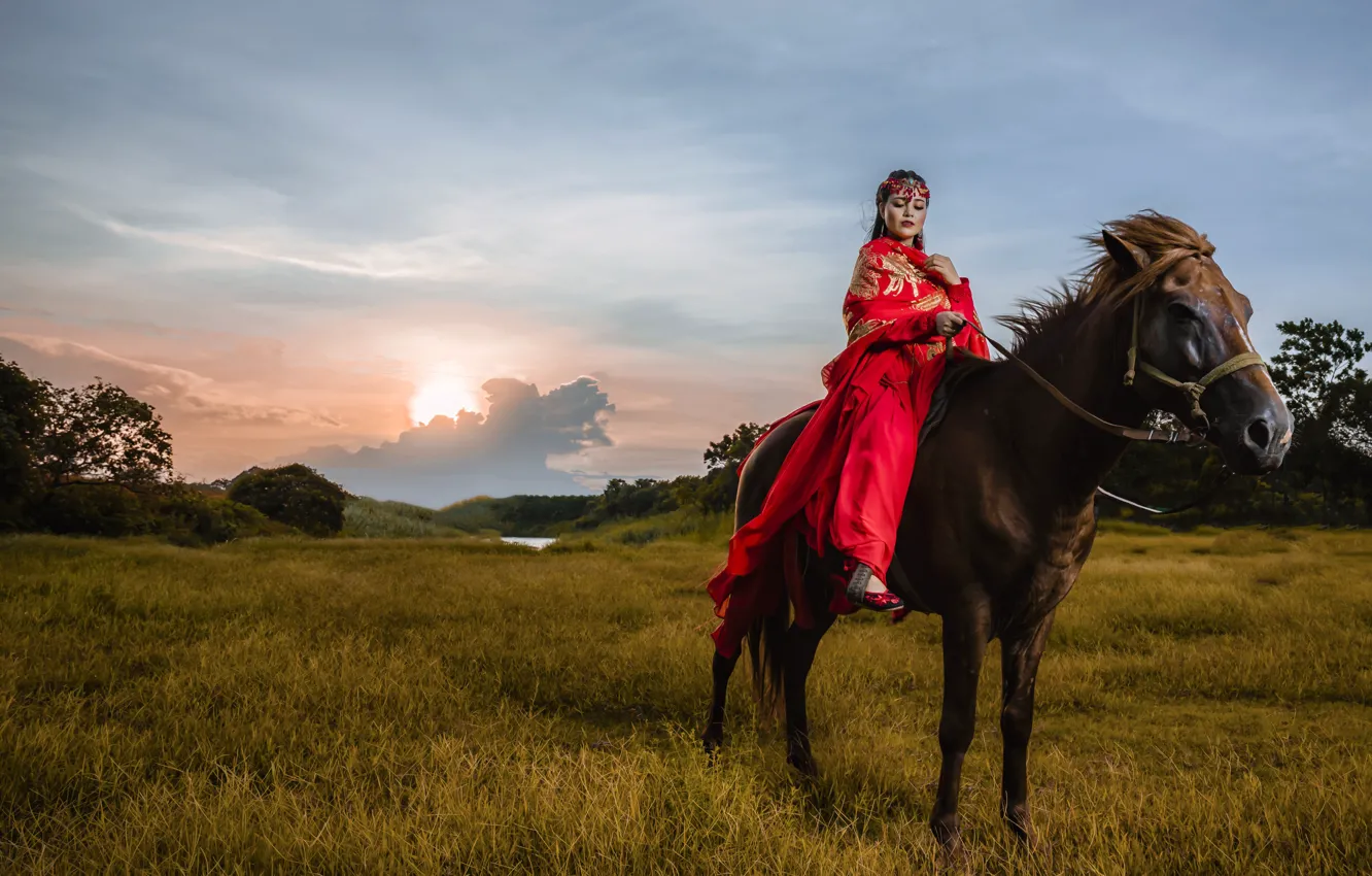Photo wallpaper field, the sky, girl, the sun, sunset, nature, pose, horse